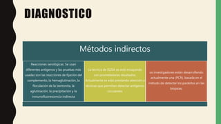 DIAGNOSTICO
Métodos indirectos
Reacciones serológicas. Se usan
diferentes antígenos y las pruebas más
usadas son las reacciones de fijación del
complemento, la hemaglutinación, la
floculación de la bentonita, la
aglutinación, la precipitación y la
inmunofluorescencia indirecta
La técnica de ELISA se está ensayando
con prometedores resultados.
Actualmente se está prestando atención a
técnicas que permitan detectar antígenos
circulantes
os investigadores están desarrollando
actualmente una (PCR), basada en el
método de detectar los parásitos en las
biopsias.
 