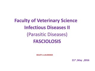 Faculty of Veterinary Science
Infectious Diseases II
(Parasitic Diseases)
FASCIOLOSIS
21st ,May ,2016
 