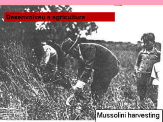 Desenvolveu a agricultura
 
