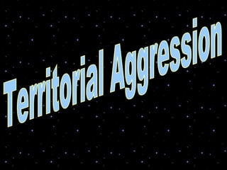 Territorial Aggression 