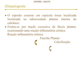 ESPORÃO - FASCIÍTE
Etiopatogenia
 O esporão consiste em espícula óssea localizada
localizada na tuberosidade plantar interna do
calcâneo;
 Forma-se por tração excessiva da fáscia plantar,
ocasionando uma reação inflamatória crônica
Reação inflamatória crônica
Fasciíte Plantar
Calcificação
 
