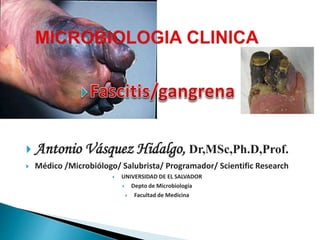  Antonio Vásquez Hidalgo, Ph.D,MD
 Médico Microbiólogo Salubrista Programador Scientific Research
 UNIVERSIDAD DE EL SALVADOR
 Depto de Microbiología
 Facultad de Medicina
 