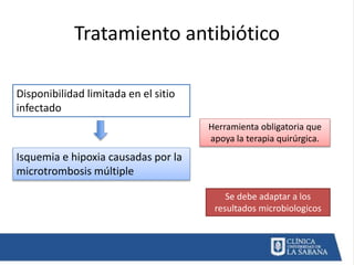 Tratamiento antibiótico
Hidrófilos Lipófilos
No se necesita aumento de dosis
de carga xq pueden tener
retrodifusion compen...