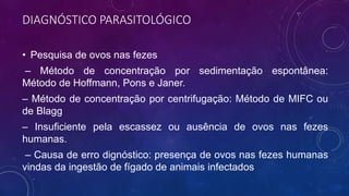 DIAGNÓSTICO PARASITOLÓGICO
• Pesquisa de ovos nas fezes
– Método de concentração por sedimentação espontânea:
Método de Hoffmann, Pons e Janer.
– Método de concentração por centrifugação: Método de MIFC ou
de Blagg
– Insuficiente pela escassez ou ausência de ovos nas fezes
humanas.
– Causa de erro dignóstico: presença de ovos nas fezes humanas
vindas da ingestão de fígado de animais infectados
 