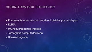 OUTRAS FORMAS DE DIAGNÓSTICO
• Encontro de ovos no suco duodenal obtidos por sondagem
• ELISA
• Imunofluorescência indireta
• Tomografia computadorizada
• Ultrassonografia
 