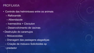PROFILAXIA
• Controle das helmintoses entre os animais
– Rafoxanide
– Albendazole
– Ivermectina + Clorzulon
– Desenvolvimento de vacinas
• Destruição do caramujos
– Moluscocidas
– Drenagem das pastagens alagadiças
– Criação de molusco Solicitoides sp
- predador
 