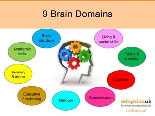 9 Brain Domains
Executive
functioning
Sensory
& motor
Academic
skills
Brain
structure
Living &
social skills
Focus &
attention
Cognition
Communication
Memory
 