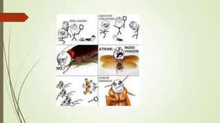 Fas do face