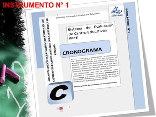 INSTRUMENTO N° 1
 