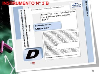 36
INSTRUMENTO N° 3 B
 