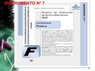 42
INSTRUMENTO N° 7
 