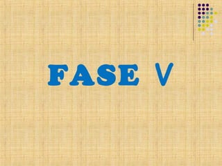 FASE V
 