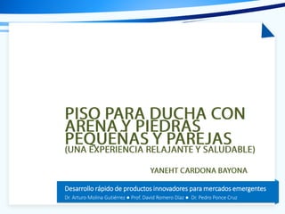 Tema de la presentación
Desarrollo rápido de productos innovadores para mercados emergentes
Dr. Arturo Molina Gutiérrez ● Prof. David Romero Díaz ● Dr. Pedro Ponce Cruz
 