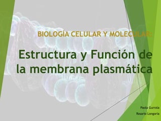 BIOLOGÍA CELULAR Y MOLECULAR: 
Estructura y Función de 
la membrana plasmática 
Paola Gurrola 
Rosario Longoria 
 
