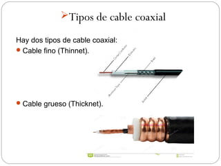 Tipos de cable coaxial 
Hay dos tipos de cable coaxial: 
Cable fino (Thinnet). 
Cable grueso (Thicknet). 
 