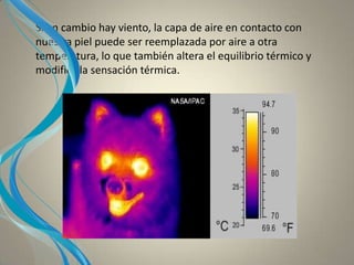 Si en cambio hay viento, la capa de aire en contacto con
nuestra piel puede ser reemplazada por aire a otra
temperatura, lo que también altera el equilibrio térmico y
modifica la sensación térmica.
 