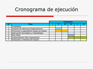 Cronograma de ejecución 