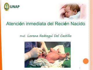 1
Atención inmediata del Recién Nacido
Prof. Lorena Reátegui Del Castillo
 