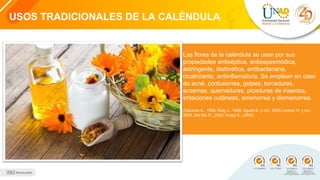 USOS TRADICIONALES DE LA CALÉNDULA
Las flores de la caléndula se usan por sus
propiedades antiséptica, antiespasmódica,
astringente, diaforética, antibacteriana,
cicatrizante, antiinflamatoria. Se emplean en caso
de acné, contusiones, golpes, torceduras,
eczemas, quemaduras, picaduras de insectos,
irritaciones cutáneas, amenorrea y dismenorrea.
(Cáceres A., 1996; Roig J., 1998; Aguila B. y col., 2000;Lorenzi H. y col.,
2002; Del Rio P., 2005; Krapp K., 2005).
 
