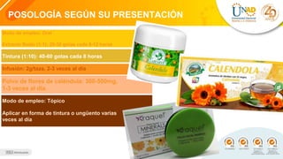 POSOLOGÍA SEGÚN SU PRESENTACIÓN
Modo de empleo: Oral
Extracto fluido (1:1): 20-30 gotas cada 8-12 horas
Tintura (1:10): 40-60 gotas cada 8 horas
Infusión: 2g/taza, 2-3 veces al día
Polvo de flores de caléndula: 300-500mg,
1-3 veces al día.
Modo de empleo: Tópico
Aplicar en forma de tintura o ungüento varias
veces al día
 