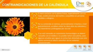 CONTRAINDICACIONES DE LA CALÉNDULA
El mero contacto con la planta fresca, especialmente con sus
hojas, puede provocar dermatitis o sarpullidos en personas
sensibles o alérgicas.
Por su contenido en taninos, potencialmente irritantes a nivel
gastrointestinal, se deben evitar las dosis altas de caléndula y
los tratamientos prolongados por vía oral.
Si se está tomando un tratamiento farmacológico se deberá
consultar con el médico si es posible tomar esta planta, pues
algunos estudios que siguen en activo han detectado que esta
planta aumenta el efecto somnífero de los sedantes
convencionales.
 