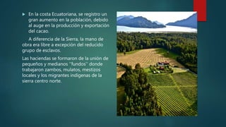  En la costa Ecuatoriana, se registro un
gran aumento en la población, debido
al auge en la producción y exportación
del cacao.
A diferencia de la Sierra, la mano de
obra era libre a excepción del reducido
grupo de esclavos.
Las haciendas se formaron de la unión de
pequeños y medianos ‘’fundos’’ donde
trabajaron zambos, mulatos, mestizos
locales y los migrantes indígenas de la
sierra centro norte.
 
