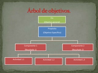 Fase De Analisis Del Problema