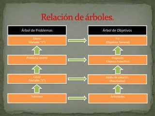 Fase De Analisis Del Problema