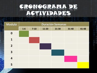 Cronograma de actividades