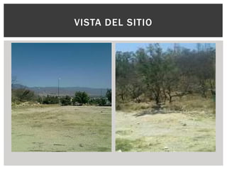 VISTA DEL SITIO
 