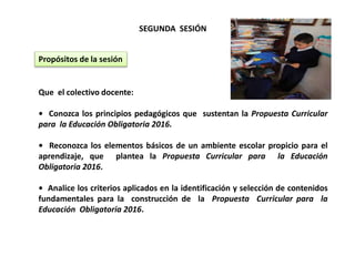 SEGUNDA SESIÓN
Propósitos de la sesión
Que el colectivo docente:
• Conozca los principios pedagógicos que sustentan la Propuesta Curricular
para la Educación Obligatoria 2016.
• Reconozca los elementos básicos de un ambiente escolar propicio para el
aprendizaje, que plantea la Propuesta Curricular para la Educación
Obligatoria 2016.
• Analice los criterios aplicados en la identificación y selección de contenidos
fundamentales para la construcción de la Propuesta Curricular para la
Educación Obligatoria 2016.
 