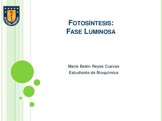 Fase luminica fotosintesis