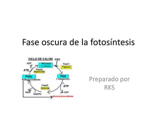 Fase oscura de la fotosíntesis


                 Preparado por
                      RKS
 