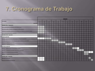 Diseñar, difundir, implementar, monitorear, evaluar y retroalimentar un programa de capacitación holística orientada a dotar a los docentes de la Universidad BETA  de los conocimientos, habilidades, destrezas, herramientas y competencias en general, necesarias y suficientes en cuanto al uso de la Metodología PACIE en Entornos Virtuales de Aprendizaje. 5. Fases del Programa de CapacitaciónPRIMERA FASE.- PreparatoriaRevisar operatividad de las plataformas y del Campus Virtual 