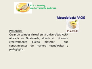 Brindar el seguimiento y tutoría online.