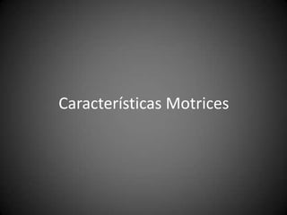 Características Motrices
 