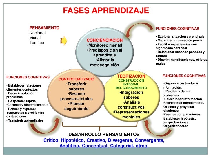 Resultado de imagen para fases del aprendizaje