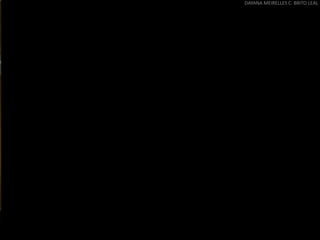 DAYANA MEIRELLES C. BRITO LEAL
 