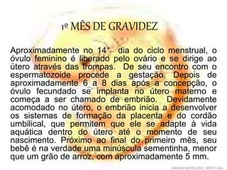 1º MÊS DE GRAVIDEZ
Aproximadamente no 14° dia do ciclo menstrual, o
óvulo feminino é liberado pelo ovário e se dirige ao
útero através das trompas. De seu encontro com o
espermatozoide procede a gestação. Depois de
aproximadamente 6 a 8 dias após a concepção, o
óvulo fecundado se implanta no útero materno e
começa a ser chamado de embrião. Devidamente
acomodado no útero, o embrião inicia a desenvolver
os sistemas de formação da placenta e do cordão
umbilical, que permitem que ele se adapte à vida
aquática dentro do útero até o momento de seu
nascimento. Próximo ao final do primeiro mês, seu
bebê é na verdade uma minúscula sementinha, menor
que um grão de arroz, com aproximadamente 5 mm.
DAYANA MEIRELLES C. BRITO LEAL
 