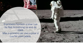 O primeiro homem a pisar Lua
foi Niel Armstrong no ano de
1969.
Mas o primeiro ser vivo a pisar a
Lua foi uma cadela.
 