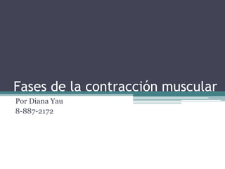 Fases de la contracción muscular 
Por Diana Yau 
8-887-2172 
 