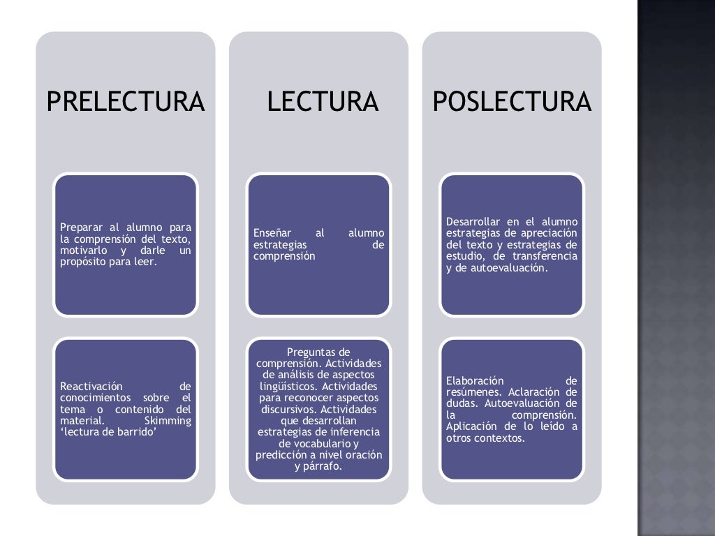 Fases De La Lectura
