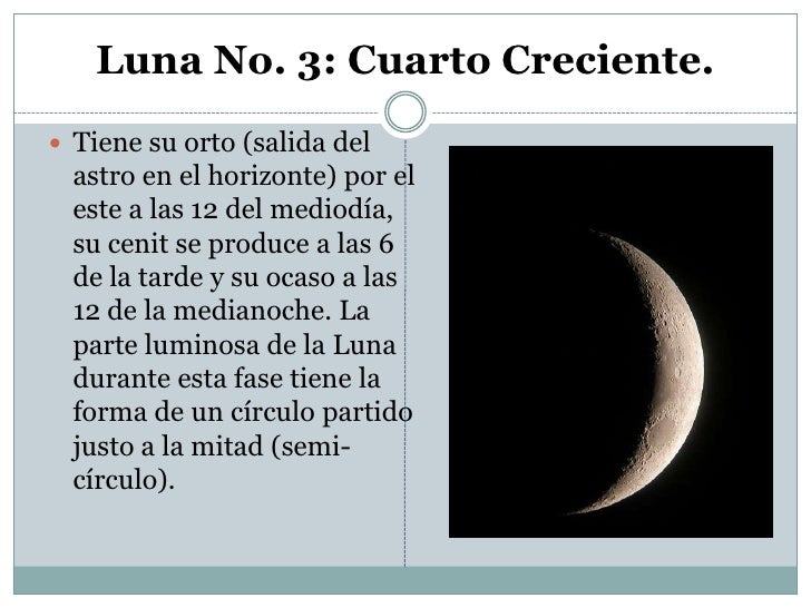 Fases de la luna Fases de la luna
