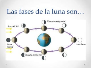 Las fases de la luna son…
 