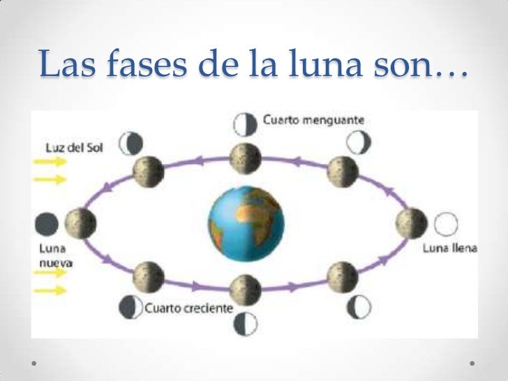 La psoriasis por herencia como evitar