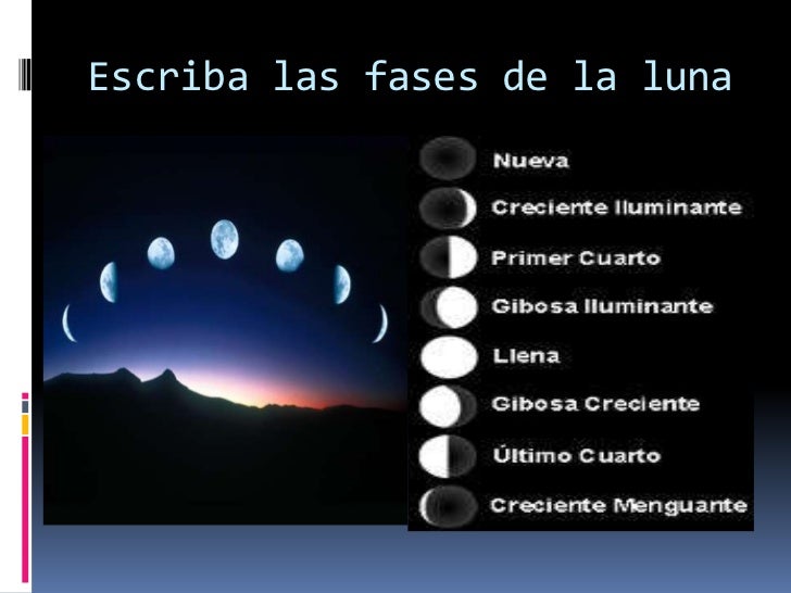 Fases de la luna