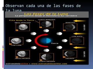 Observan cada una de las fases de la luna 