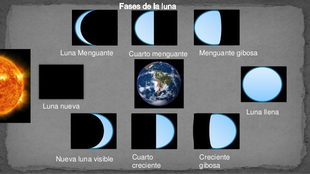 Fases de la luna Fases de la luna