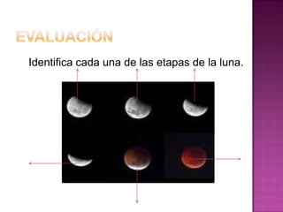 Identifica cada una de las etapas de la luna.
 