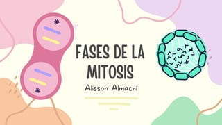FASES DE LA
MITOSIS
Alisson Almachi
 